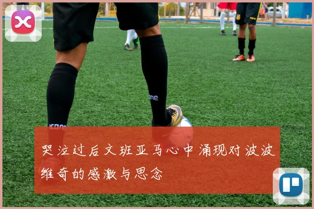 哭泣过后文班亚马心中涌现对波波维奇的感激与思念