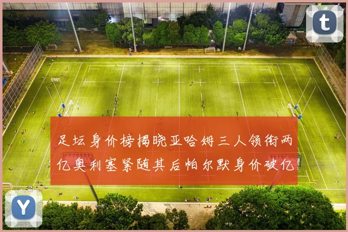 足坛身价榜揭晓亚哈姆三人领衔两亿奥利塞紧随其后帕尔默身价破亿